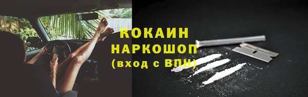 крисы Горно-Алтайск