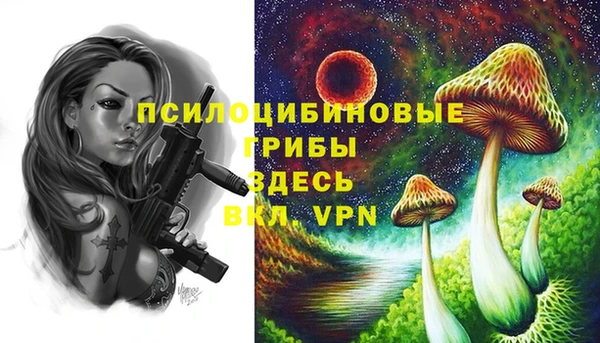 крисы Горно-Алтайск